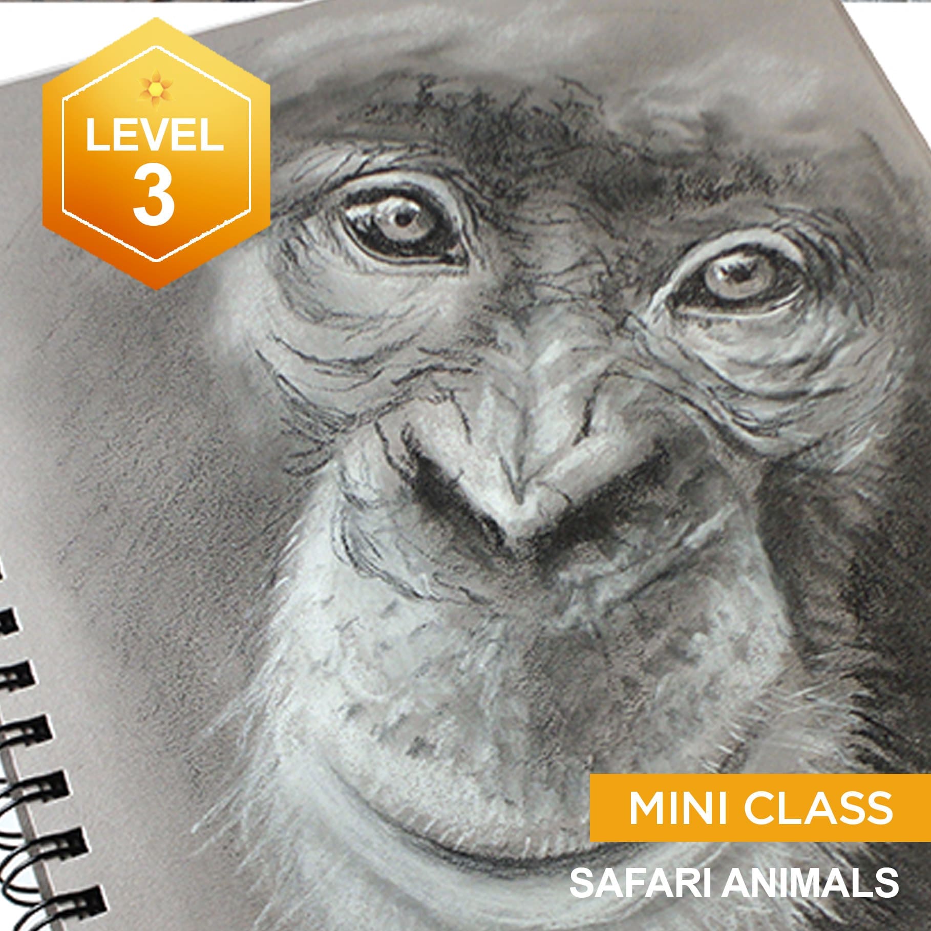 Drawing Safari Animals