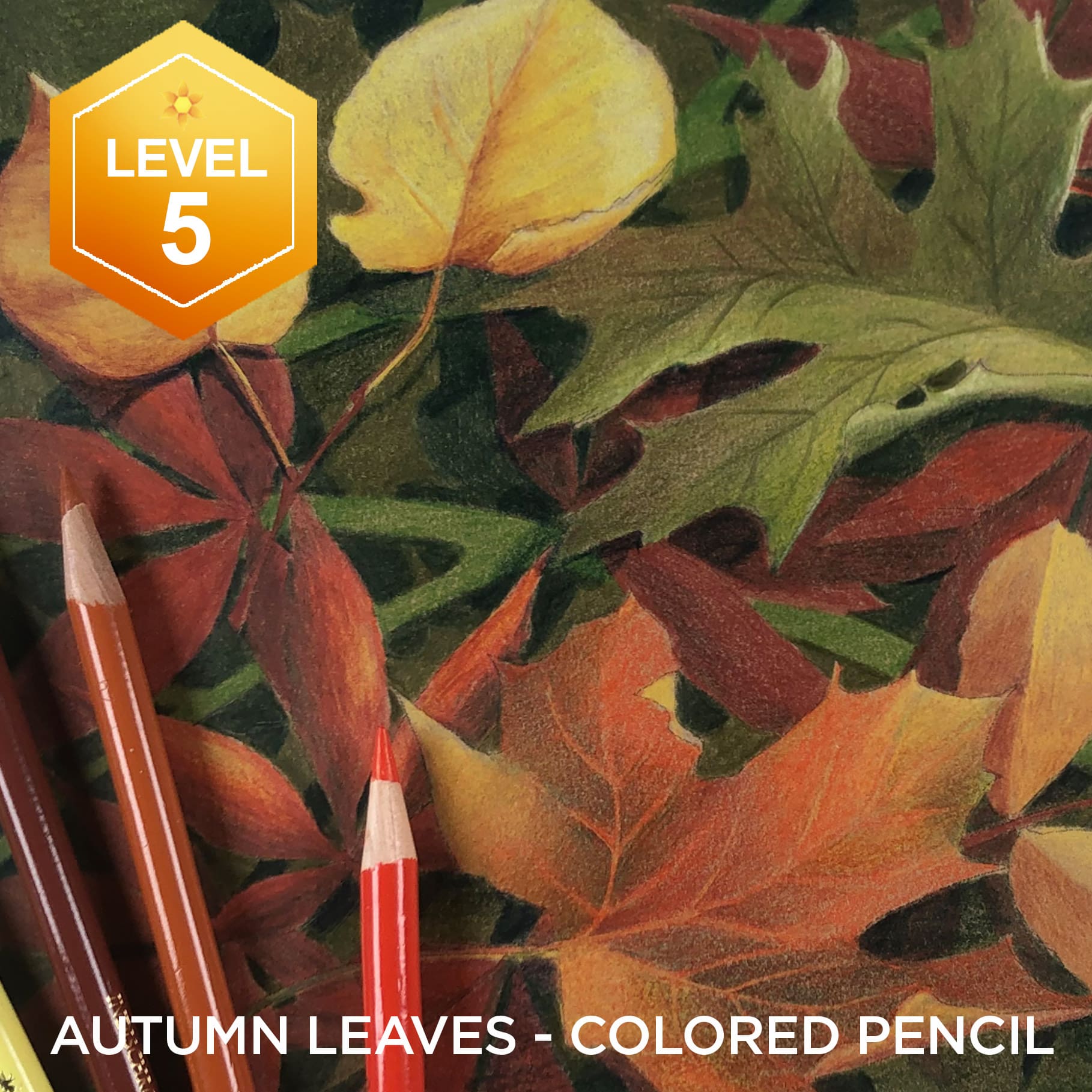 Autumn Leaves Colored Pencil: Frameable Leaf Drawings | Art Classes