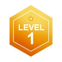 Level 1