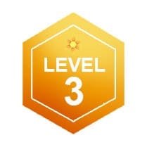 Level 3