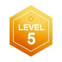Level 5