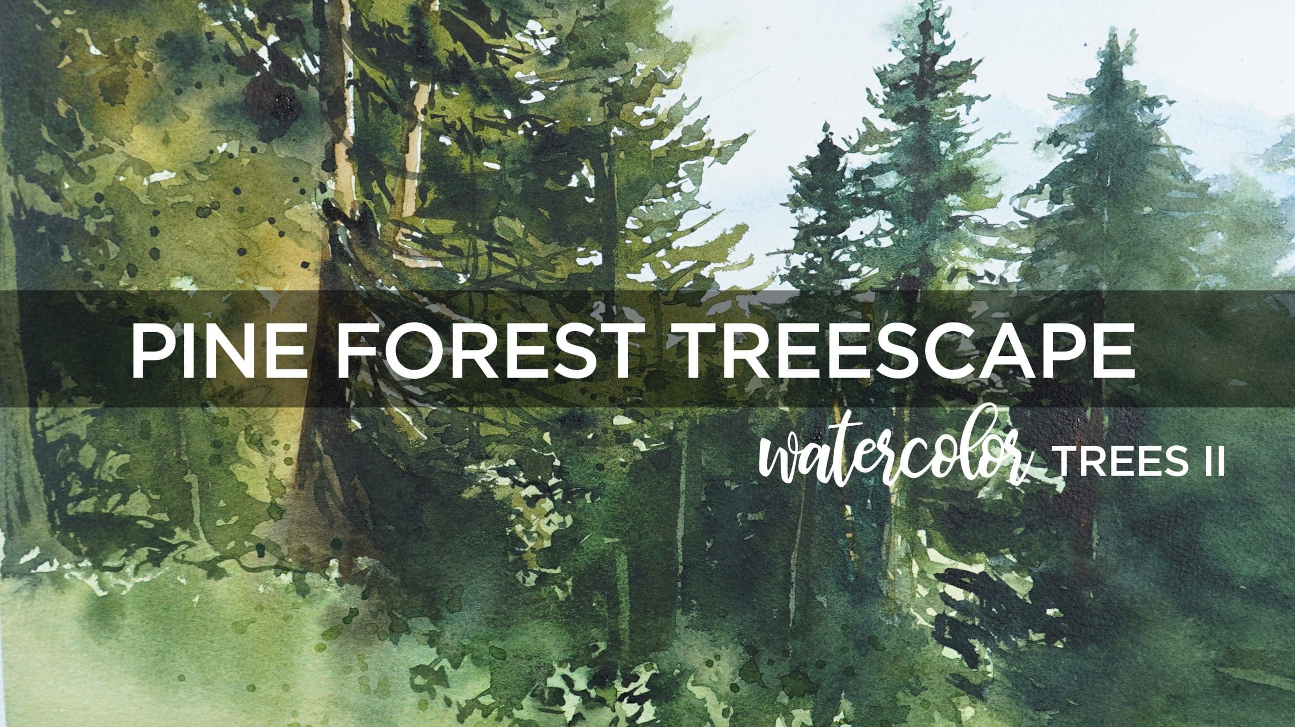 Watercolor Trees II Singles: Pine Forest Treescape