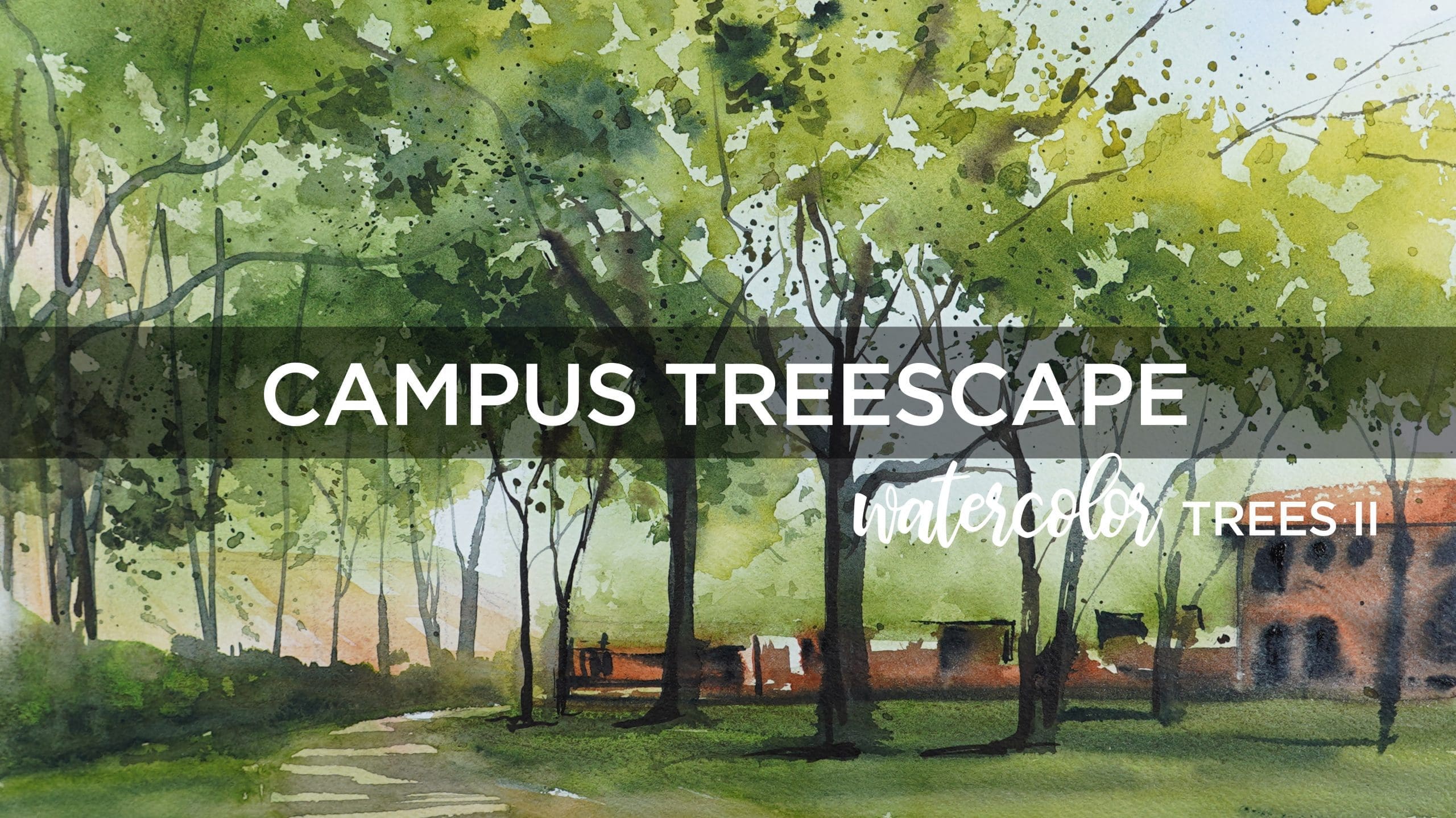 Watercolor Trees II Singles: Campus Treescape