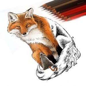 Fox and Mouse