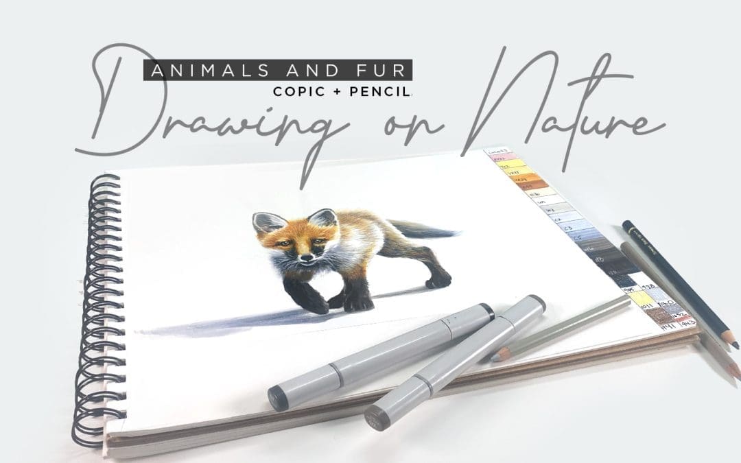 Drawing on Nature: Animals and Fur (Fox)