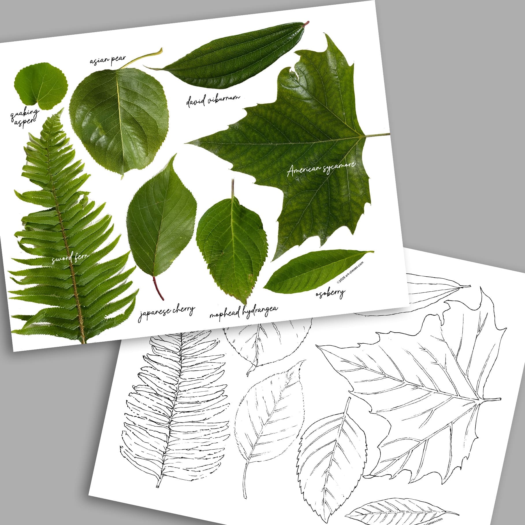 Summer Greens