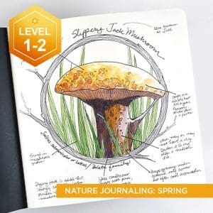 A Year of Nature Journaling