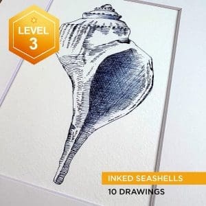 Inked Seashells (preregistration - class begins August 18)