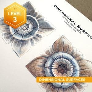 Dimensional Surfaces in colored pencil